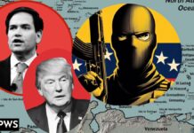 Will RFK Jr.’s wrecking-ball approach to vaccines and public health lead Trump onto thin political ice? - CNN