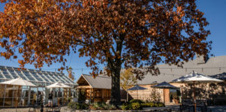 Gay Bourbon Manhattan – Hudson Valley Mixology at the Shawangunk Mountains Cabin - Hudson Valley Style Magazine