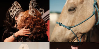 Gay rodeo finals in Nevada celebrate 50 years of drawing queer cowboys together - NBC News