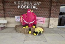 Health and Fitness: Virginia Gay Hospital Shines a Light on Breast Cancer Awareness this October – Vinton Today Health and Fitness: Virginia Gay Hospital Shines a Light on Breast Cancer Awareness this October - Vinton Today