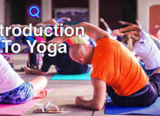 Introduction To Yoga at QSpot LGBT Community Center in Asbury Park - Out In Jersey magazine