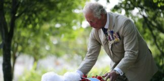 King Charles lays flowers at national memorial to LGBT armed forces veterans - The Guardian
