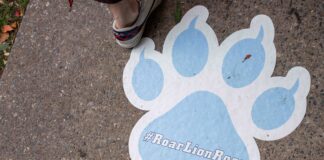 Let's make sports journalism gay and girly - Columbia Daily Spectator