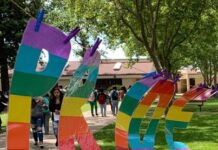 Lgbtq Gay Lesbian Ally Pride Flag Drawstring Bag Backpack Gym Bags Sports Sack Shopping Yoga Travel String Daypacks For Men Women Adult - The San Joaquin Valley Sun