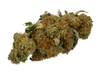 Mat-Su voter guide covers free speech, DEI, parent rights, taxes, weed, abortion, LGBT policy - Alaska Watchman