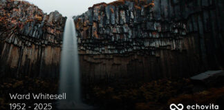 Obituary | Ward Gay Whitesell of Staunton, Virginia - Coffman Funeral Home and Crematory