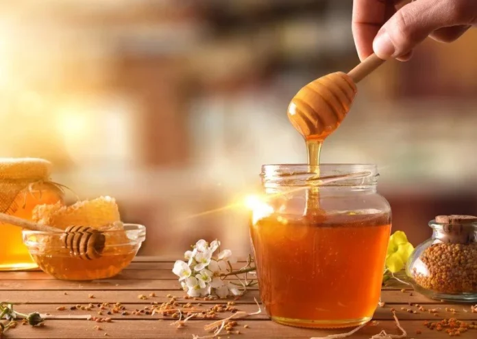 The Rise Of Raw Honey, The Queer Event Collective - essence.com