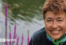 LGBT memorial 'means the world' to army veteran Jean Macdonald - BBC