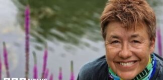 LGBT memorial 'means the world' to army veteran Jean Macdonald - BBC