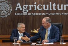 The Ministry of Agriculture Recognizes Juan Gay Gutiérrez’s Career with the National Animal Health Award 2025 – Gob MX The Ministry of Agriculture Recognizes Juan Gay Gutiérrez's Career with the National Animal Health Award 2025 - Gob MX