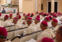 US bishops’ conference under scrutiny after report links Church funds to pro-abortion, LGBT groups - The Catholic Herald