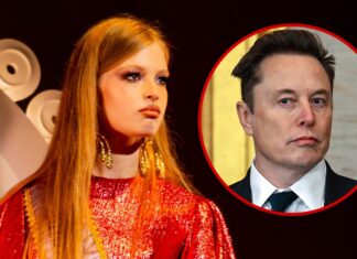 Vivian Wilson Makes NYFW Debut in Shimmering Dress - TMZ