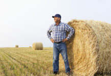 A Farmer, a Designer and a Dating App Unite to Save Some ‘Gay Sheep’ - The New York Times