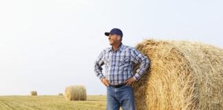 A Farmer, a Designer and a Dating App Unite to Save Some ‘Gay Sheep’ - The New York Times