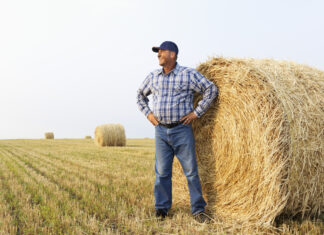 A Farmer, a Designer and a Dating App Unite to Save Some ‘Gay Sheep’ - The New York Times