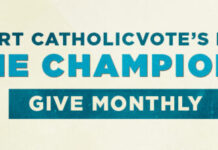 Brazilian influencer under investigation for criticizing government’s pro-LGBT policies - CatholicVote org