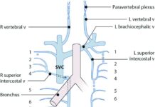 Dear straight women: Please stop being gremlins about Jonathan Bailey's sexuality, it’s beyond gross - The Tab
