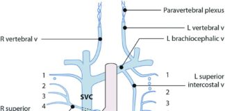 Dear straight women: Please stop being gremlins about Jonathan Bailey's sexuality, it’s beyond gross - The Tab