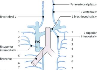Dear straight women: Please stop being gremlins about Jonathan Bailey's sexuality, it’s beyond gross - The Tab