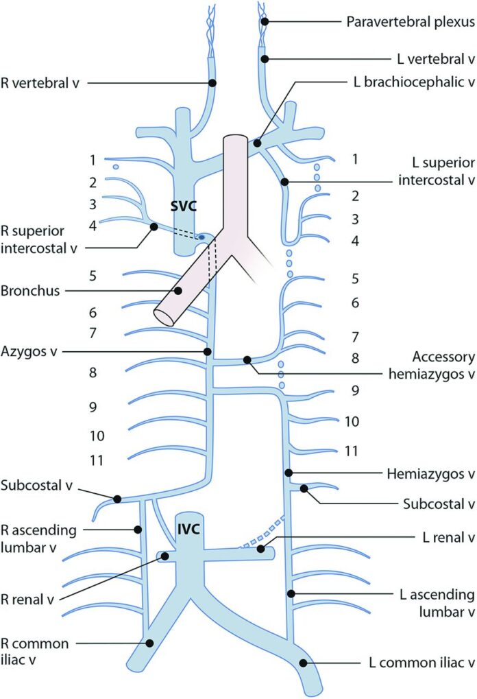 Dear straight women: Please stop being gremlins about Jonathan Bailey's sexuality, it’s beyond gross - The Tab