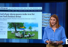 Gay sheep's wool used by fashion designer to make a statement - Press Review - France 24