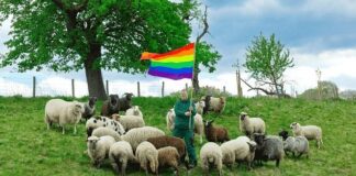 Grindr has created a fashion line using the wool of ‘gay sheep’ – Metro.co.uk Grindr has created a fashion line using the wool of 'gay sheep' - Metro.co.uk