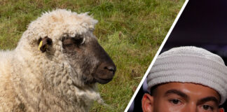 Grindr Presents 'I Wool Survive': Gay Sheep Wool Becomes High Fashion - Grindr