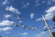 Local Churches to Host Screening of “1946,” Film Examining Roots of Anti-LGBT Theology - eastlansinginfo.news