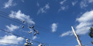 Local Churches to Host Screening of “1946,” Film Examining Roots of Anti-LGBT Theology – eastlansinginfo.news Local Churches to Host Screening of “1946,” Film Examining Roots of Anti-LGBT Theology - eastlansinginfo.news