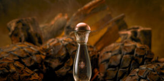 Luxury Tequila-Branded Events - Trend Hunter