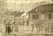 Spread of false claims about coach using gay slur is âalarming,â UConn says – outsports.com Spread of false claims about coach using gay slur is âalarming,â UConn says - outsports.com