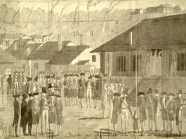 Spread of false claims about coach using gay slur is âalarming,â UConn says - outsports.com