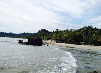 This gay playground in the jungles of Costa Rica is an untouched gem – GayCities This gay playground in the jungles of Costa Rica is an untouched gem - GayCities