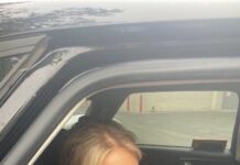 Woman dragged from car by ICE agents in Minnesota ID’d as LGBT and racial justice activist - New York Post