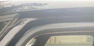 Woman dragged from car by ICE agents in Minnesota ID’d as LGBT and racial justice activist – New York Post Woman dragged from car by ICE agents in Minnesota ID’d as LGBT and racial justice activist - New York Post