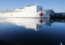 Denmark Rejects Trump’s Plan to Send Hospital Boat to Greenland - The New York Times