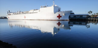 Denmark Rejects Trump’s Plan to Send Hospital Boat to Greenland - The New York Times