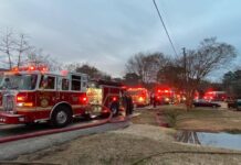 LGBT Life Food Drive and Know Your Rights - WAVY.com