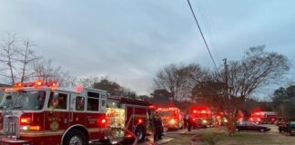 LGBT Life Food Drive and Know Your Rights - WAVY.com