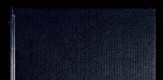 Littleton Q+ to host first LGBTQ Summit – Littleton Independent Littleton Q+ to host first LGBTQ Summit - Littleton Independent