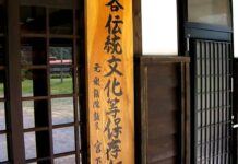 Meet the gay NFL cheerleader whoâll be turning heads at Super Bowl LX - LGBTQ Nation