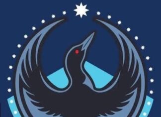 Public health crisis unfolding in Minneapolis as residents avoid healthcare – The Guardian Public health crisis unfolding in Minneapolis as residents avoid healthcare - The Guardian