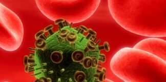 Record HIV testing among gay and bisexual men – GOV.UK Record HIV testing among gay and bisexual men - GOV.UK