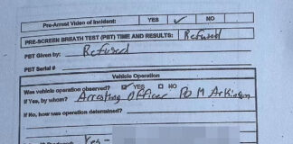 Shia LaBeouf allegedly hurled gay slurs during bar brawl, arrest: police report - Page Six