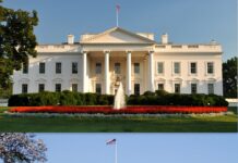 White House, RFK Jr. shake up health leadership after controversies - The Washington Post