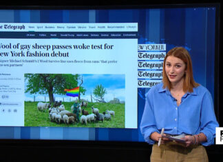 Woke fashion show includes wool of gay sheep as part of collection campaigning to save animal slaughter - GB News