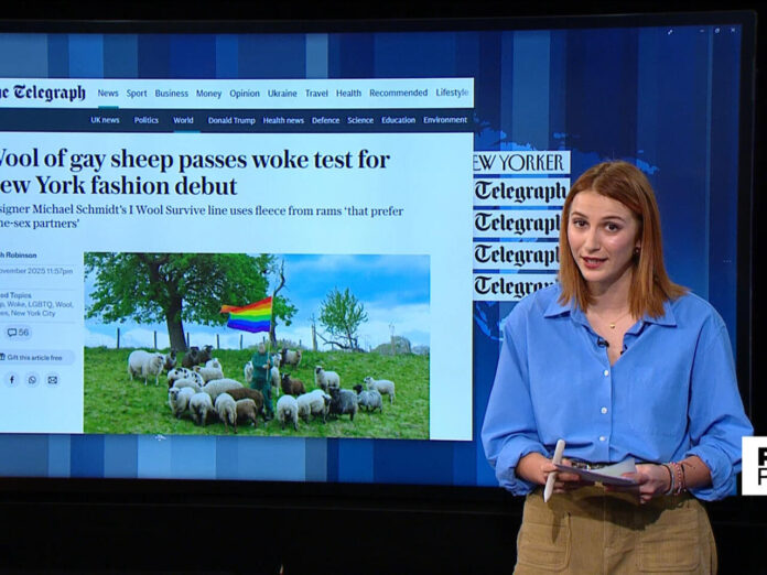 Woke fashion show includes wool of gay sheep as part of collection campaigning to save animal slaughter - GB News