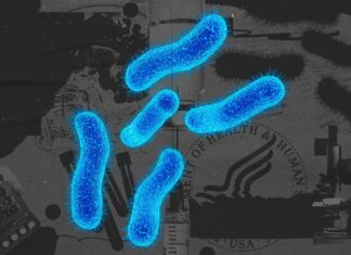 Deleted CDC Page: About Shigella Infection Among Gay, Bisexual, and Other Men Who Have Sex with Men – Men’s Health Deleted CDC Page: About Shigella Infection Among Gay, Bisexual, and Other Men Who Have Sex with Men - Men's Health