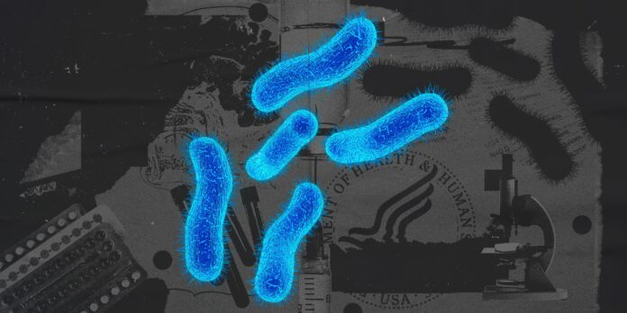 Deleted CDC Page: About Shigella Infection Among Gay, Bisexual, and Other Men Who Have Sex with Men - Men's Health