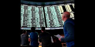 My Year as a Degenerate Sports Gambler - The Atlantic